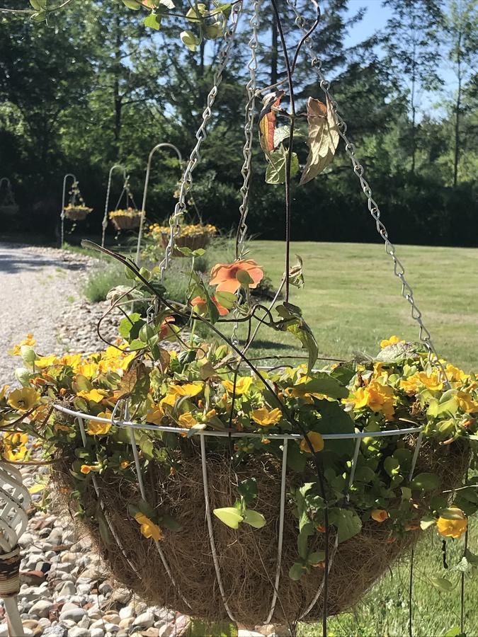 شاوث هيفن Martha'S Vineyard B & B المظهر الخارجي الصورة